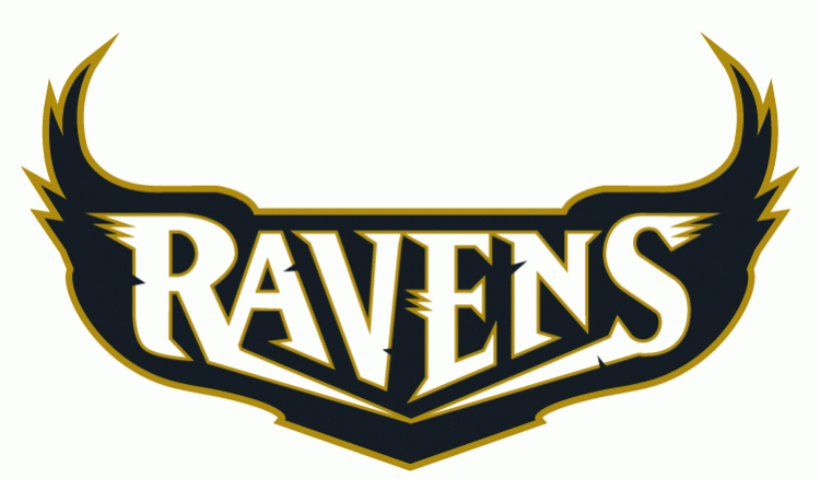 Baltimore Ravens 1996-1998 Wordmark Logo iron on transfers for fabric version 3